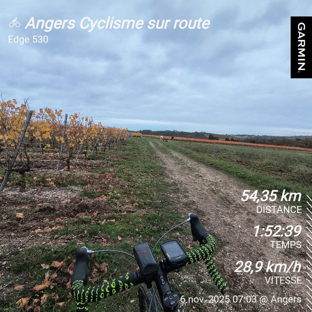 Parcours route à Les Ponts-de-Cé (49) avec Le Bon Vélo