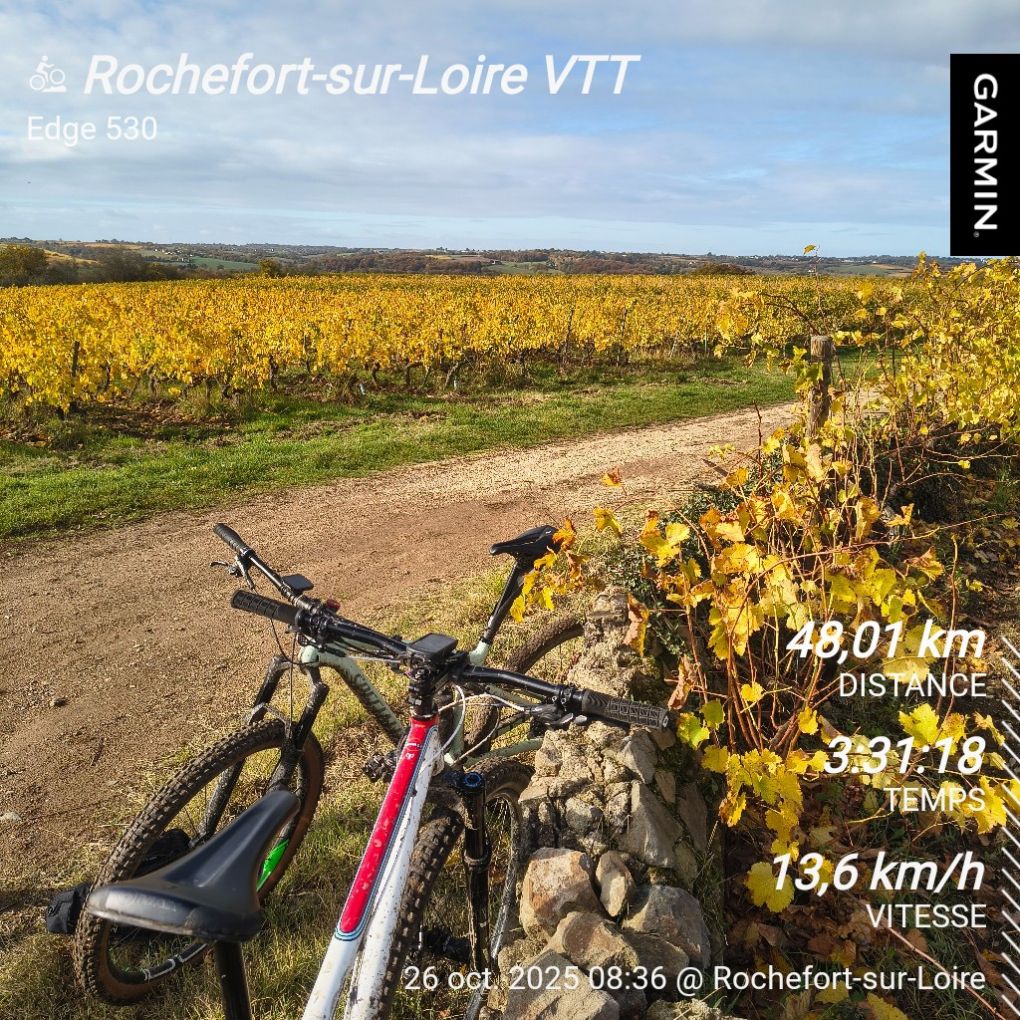 Parcours VTT à Rochefort-sur-Loire (49) avec Le Bon Vélo