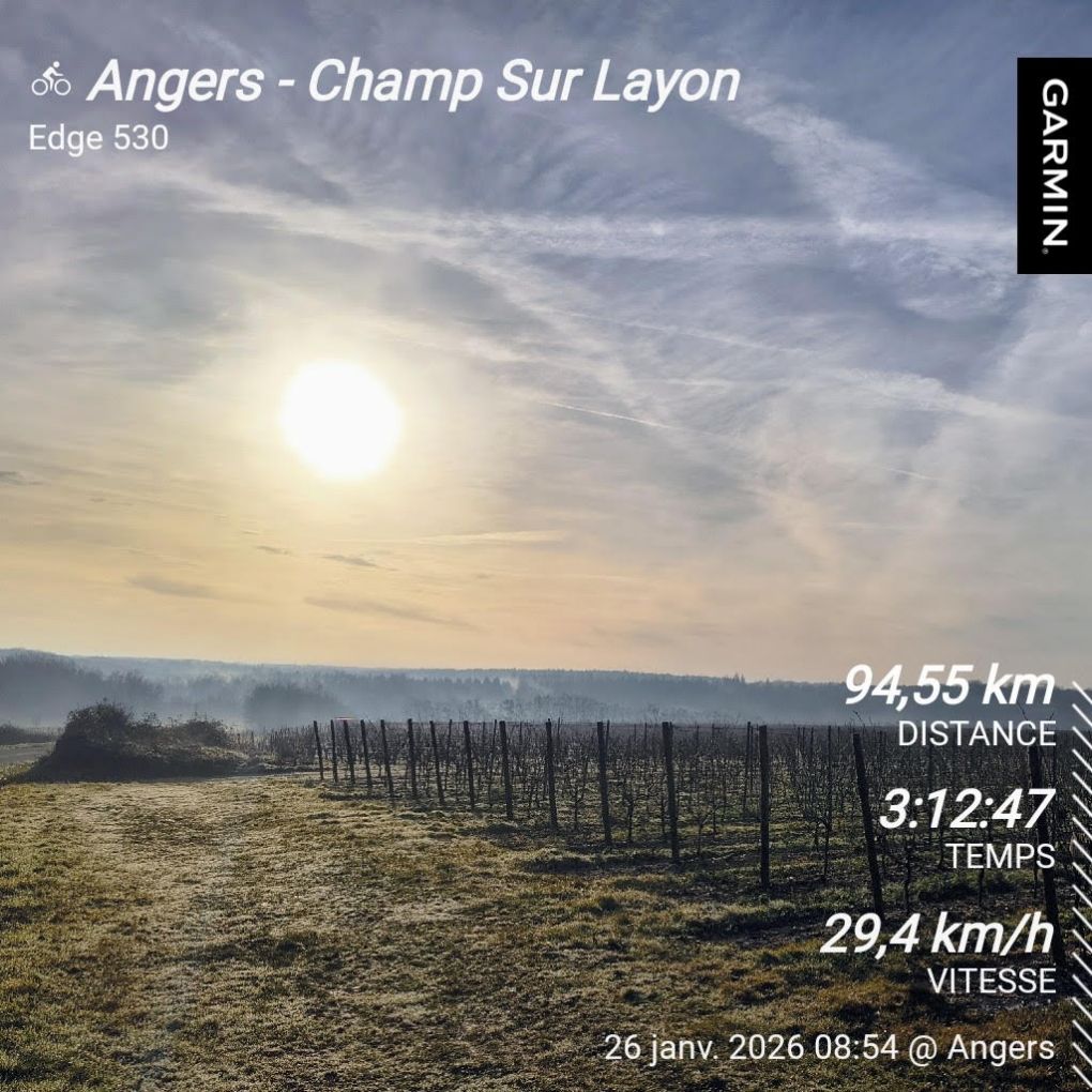 Parcours route à Champ-sur-Layon (49) avec Le Bon Vélo