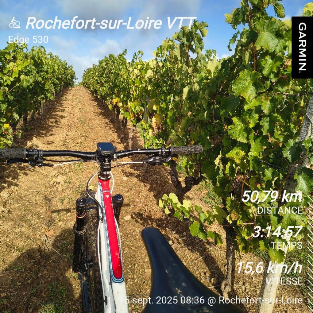 Parcours VTT à Rochefort-sur-Loire (49) avec Le Bon Vélo