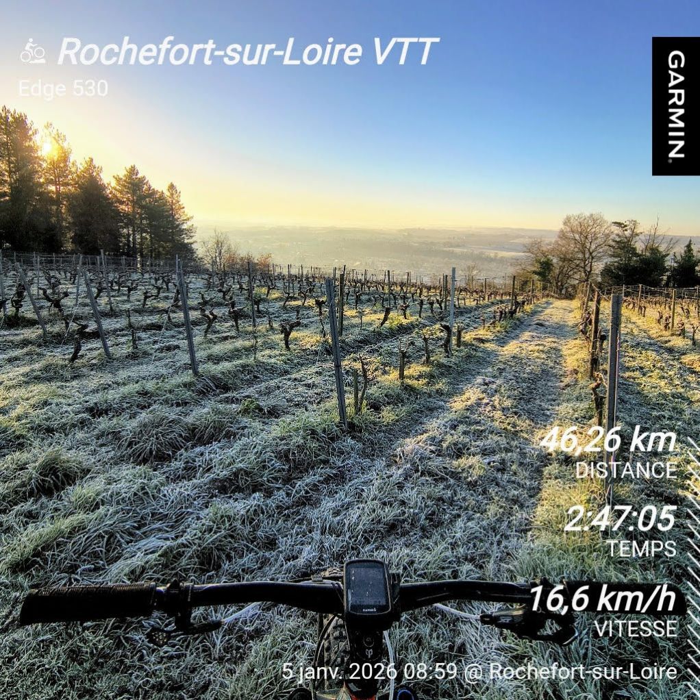 Parcours VTT à Saint-Aubin-de-Luigné (49) avec Le Bon Vélo